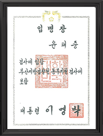 변호사 경력